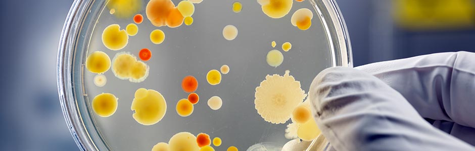 Antibiotic Range Franchise