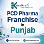 PCD Pharma Franchise in Punjab